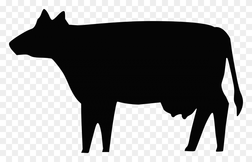 2400x1479 Cow Silhouette Icons Png - Cow PNG