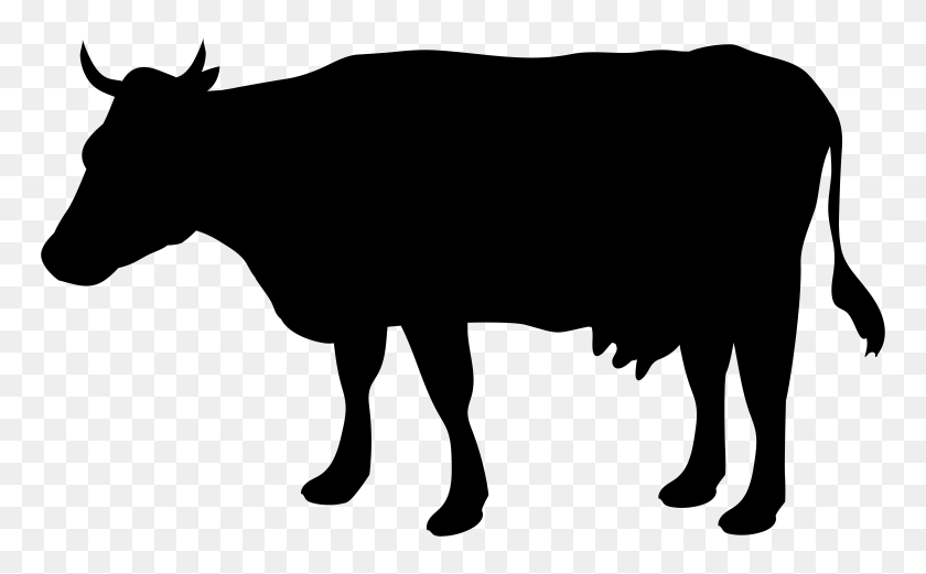 8000x4732 Cow Silhouette Png Clip Art - Ox Clipart