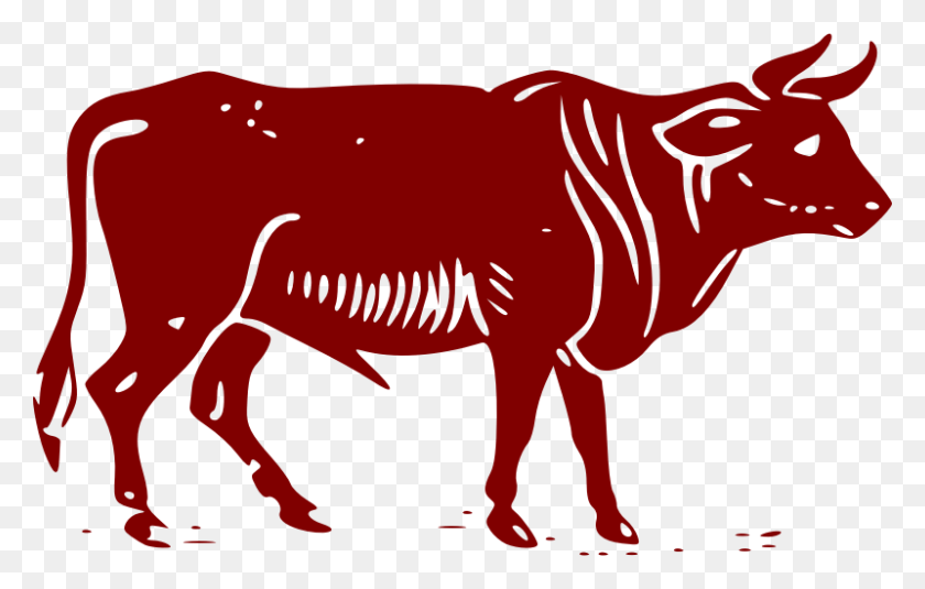800x488 Cow Top Cattle Clip Art Free Clipart Image - Cow Face Clipart