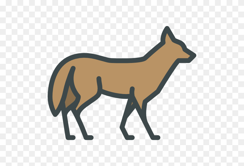 512x512 Coyote - Coyote PNG