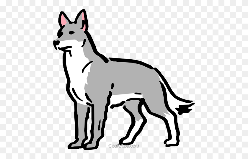 480x479 Coyote Clip Art - Dog Ears Clipart
