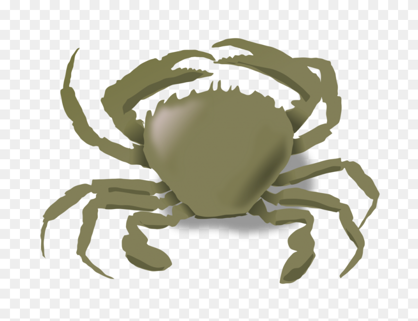 1000x750 Crab Aquatic Animal Decapoda Seawater - Free Crab Clipart