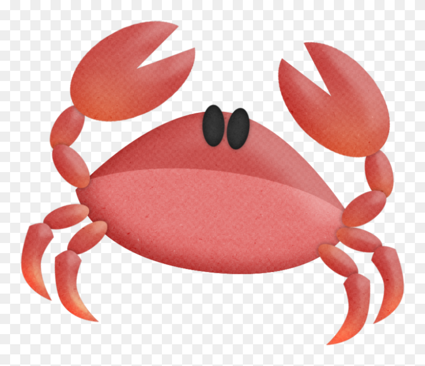800x680 Crab Art Under The Sea Clip Art - Conch Shell PNG