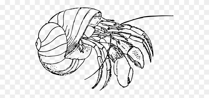 555x334 Crab Black And White Crab Clip Art Black And White Free Clipart - Crab Clipart