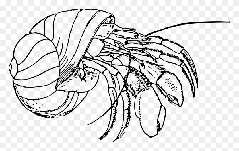 1331x801 Crab Clip Art Black And White - Sea Anemone Clipart