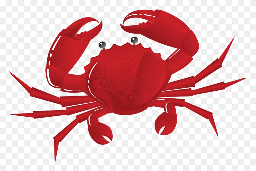 1125x722 Crab Clipart - Bed Clipart