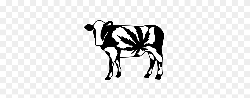 300x272 Craft Cannabis The Farm - Dairy Cow Clip Art