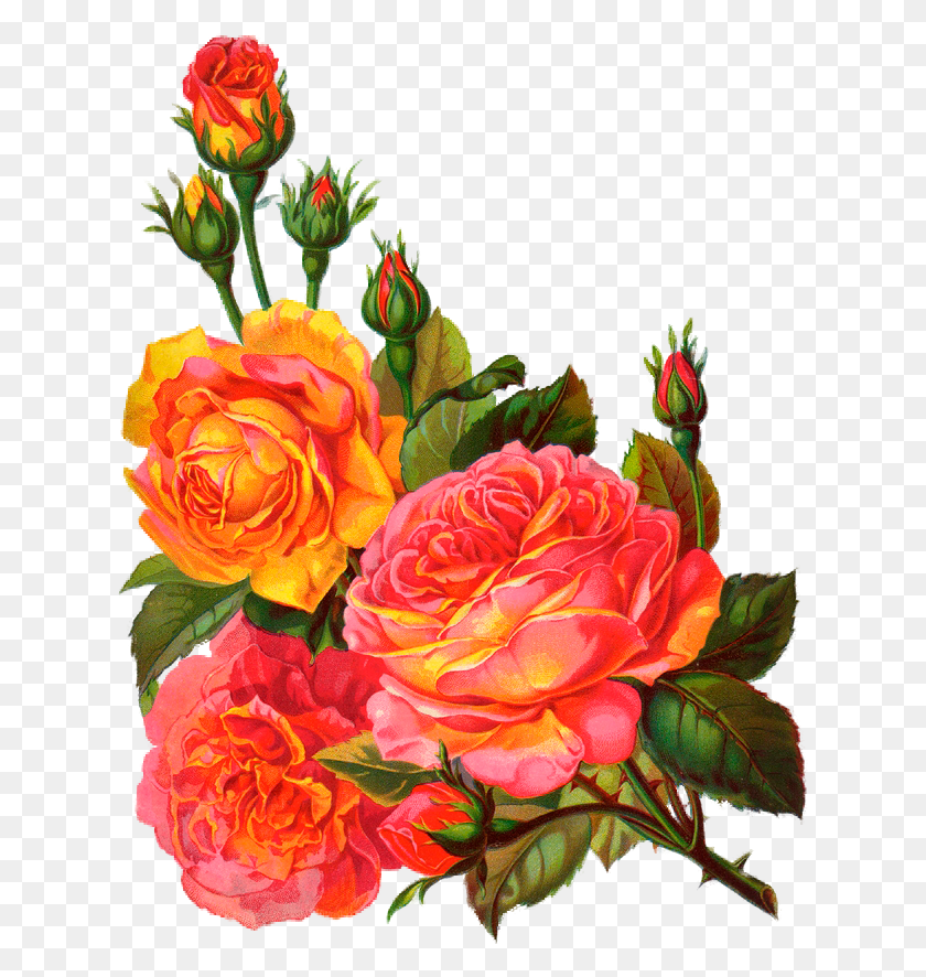 627x826 Crafty - Vintage Rose Clipart