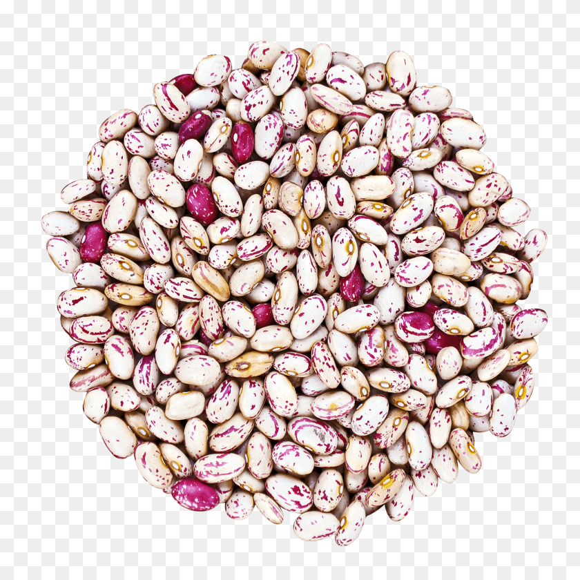 1386x1386 Cranberry Beans Buy Cranberry Beans In Bulk From Food To Live - Beans PNG