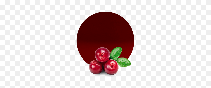 260x289 Cranberry Concentrate - Cranberry PNG