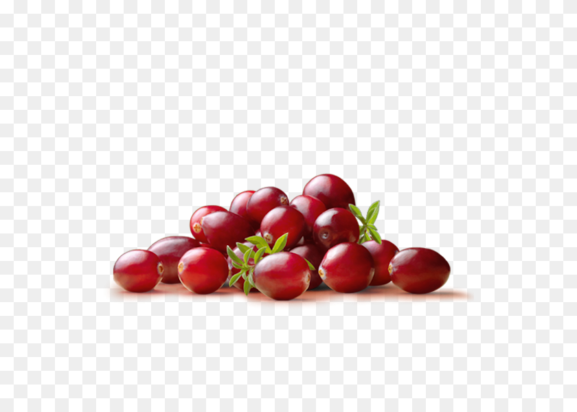 540x540 Cranberry Png Png Image - Cranberry PNG