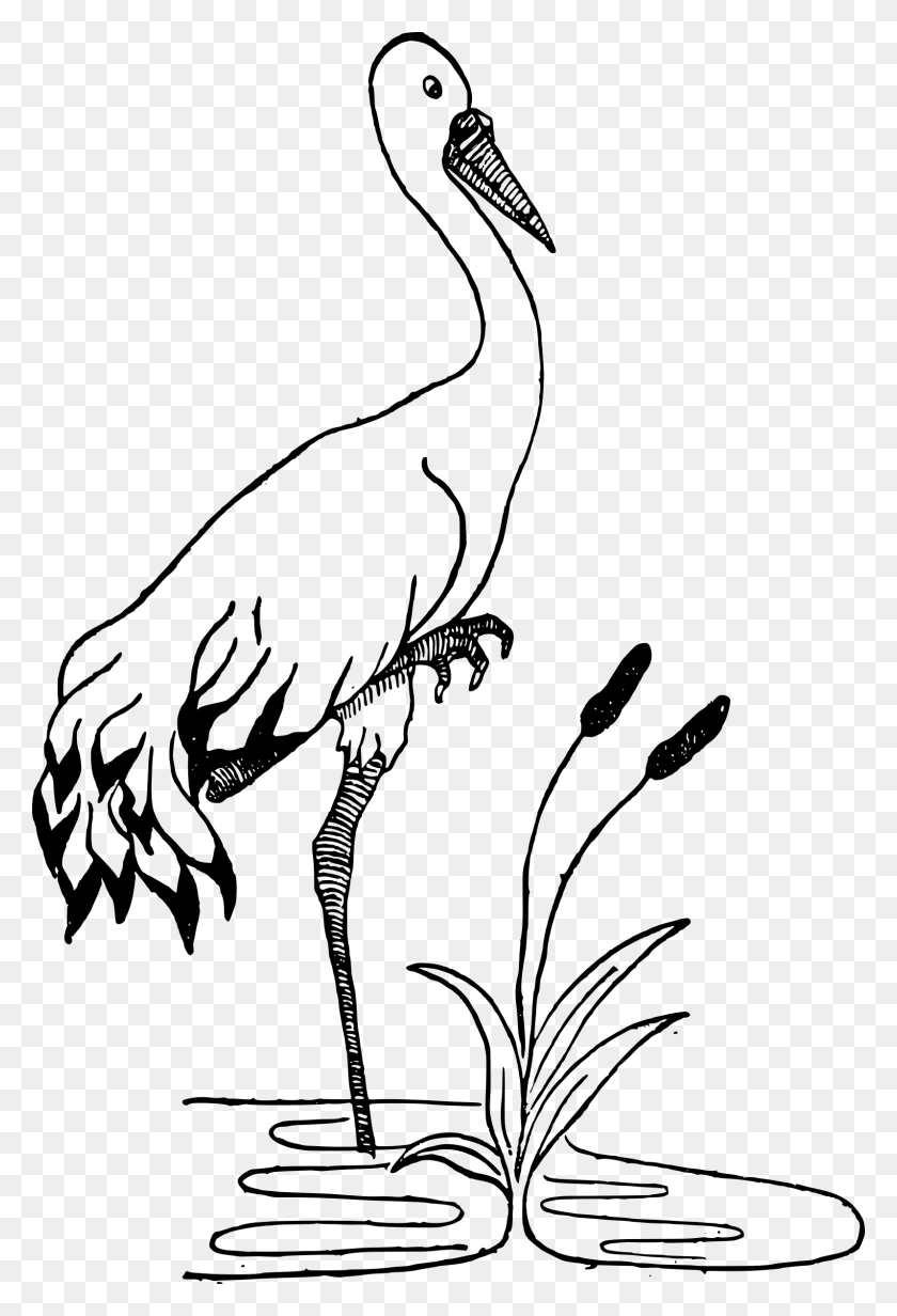 1596x2400 Crane In A Pond Icons Png - Crane PNG