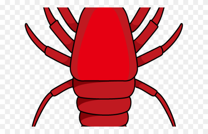 640x480 Crawfish Clipart Shrimp - Crayfish Clipart