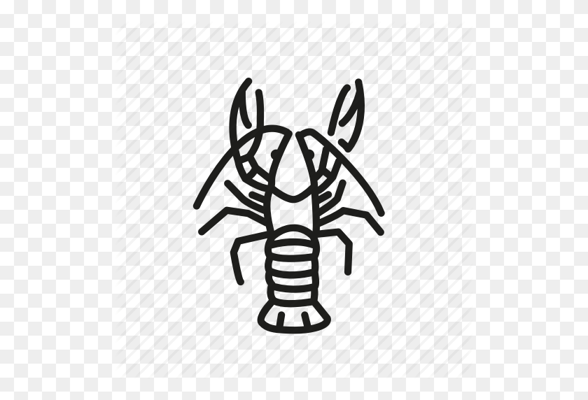 512x512 Crawfish, Crayfish, Freshwater, Freshwater Lobsters, Lobster - Crawfish PNG
