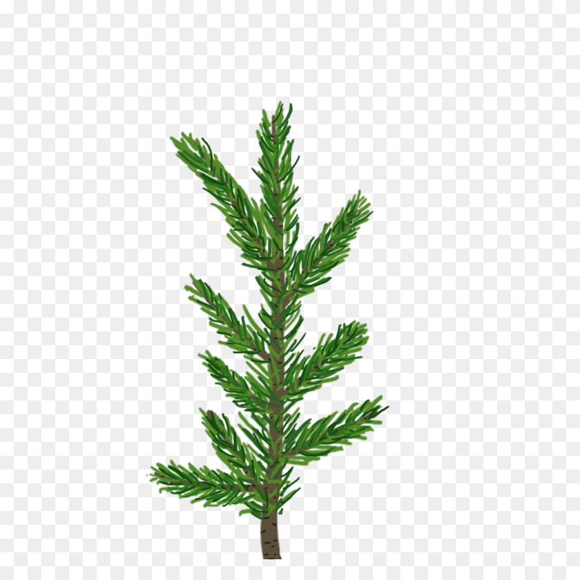 1024x1024 Creating A Pine Tree In Unity - Pine Branch PNG
