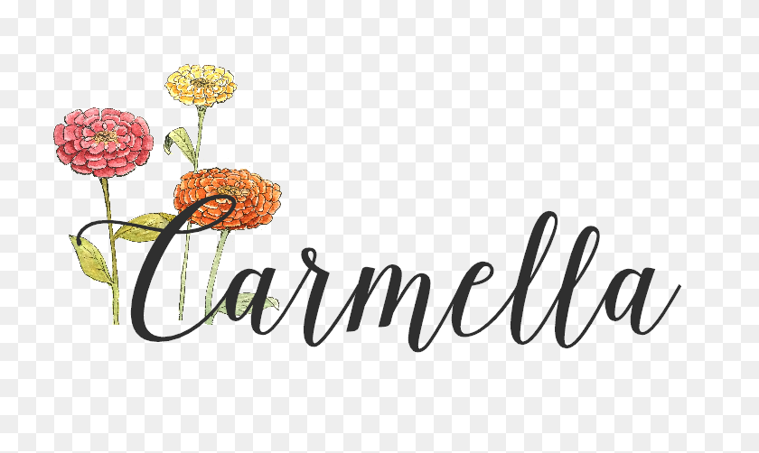 777x442 Creative Carmella Shop - Carmella PNG