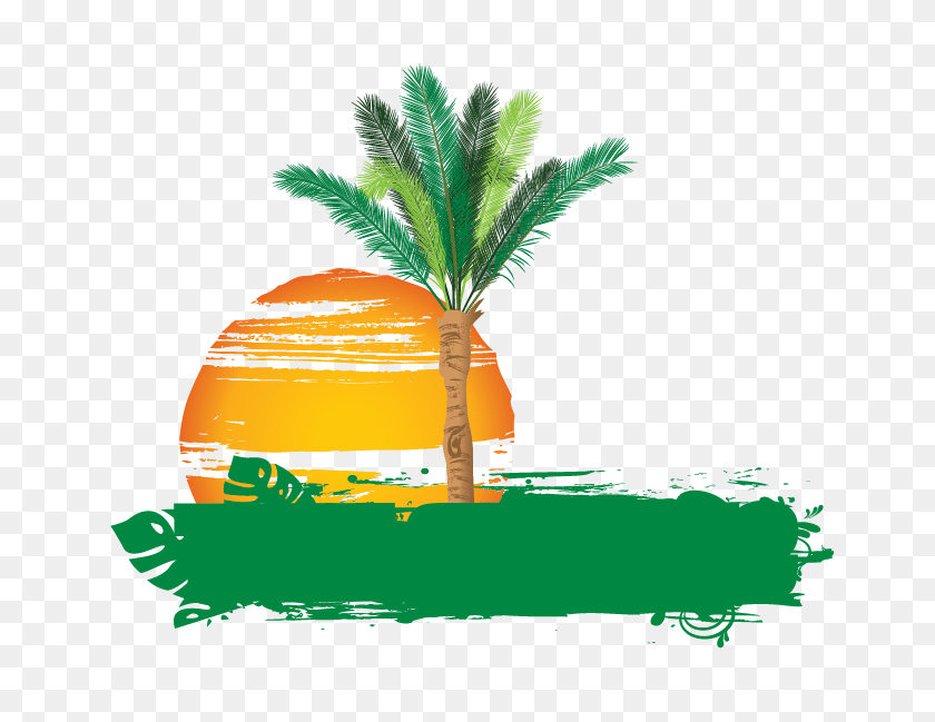 677x589 Творческий Интернет Бесплатный Дизайн Логотипа Пальмы - Тропические Деревья Png