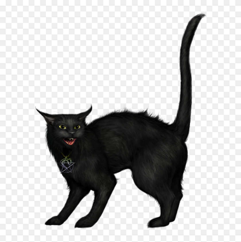 650x783 Creepy Black Cat Png - Creepy PNG