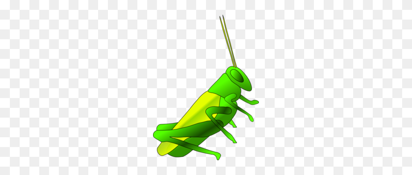 216x297 Cricket Clip Art - Cricket Bug Clipart