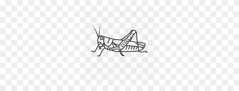 260x260 Cricket Clipart - Cricket Bug Clipart