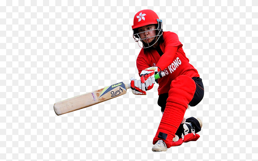 491x465 Cricket Free Png - Cricket PNG