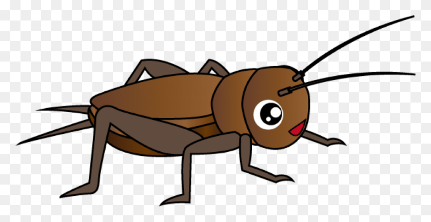 851x408 Cricket Png / Insecto Png