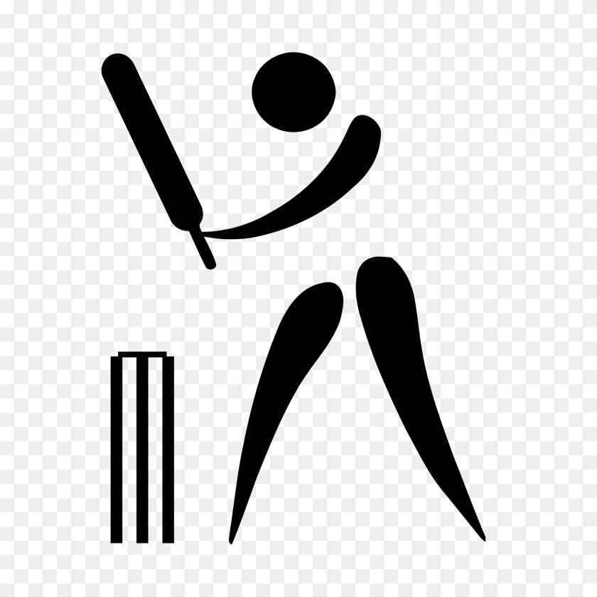 2000x2000 Cricket Pictogram - Cricket PNG