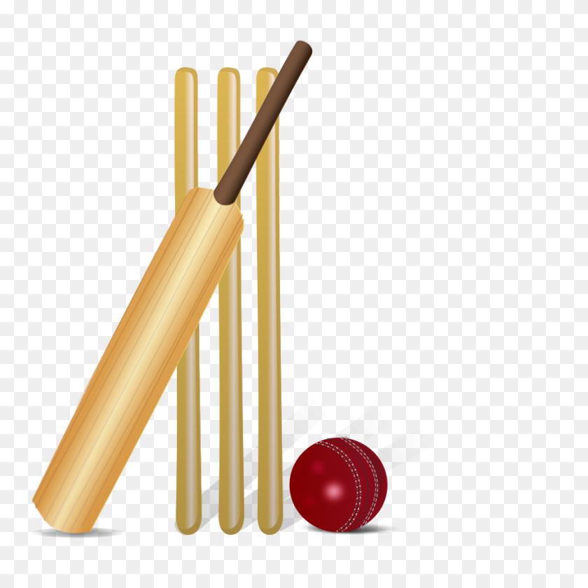 900x900 Cricket Png Large Size - Cricket PNG