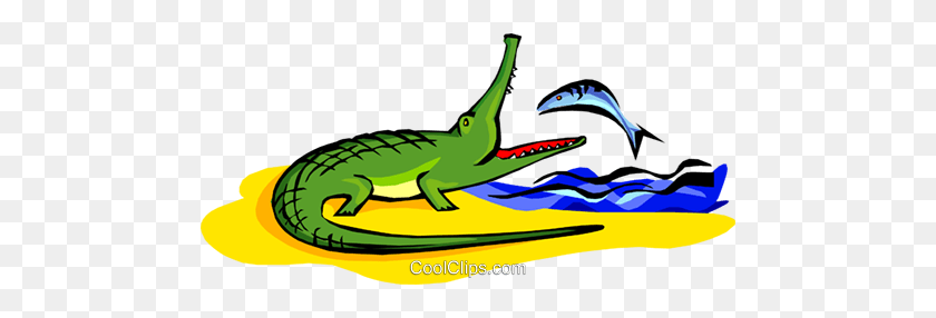 480x226 Крокодил Ест Рыбу Клипарт В Векторе