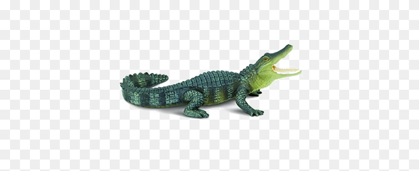 425x283 Png Крокодил
