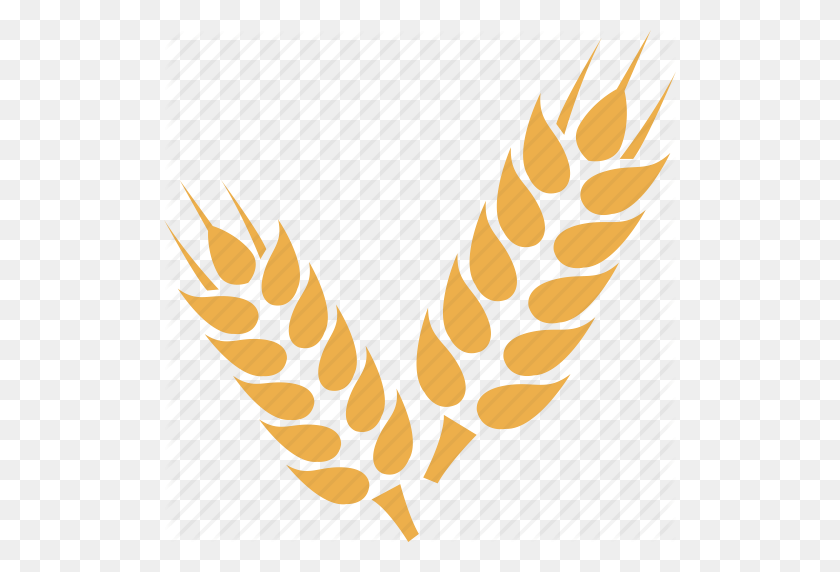 512x512 Crop, Grain, Wheat, Wheat Crop, Wheat Gran - Wheat PNG