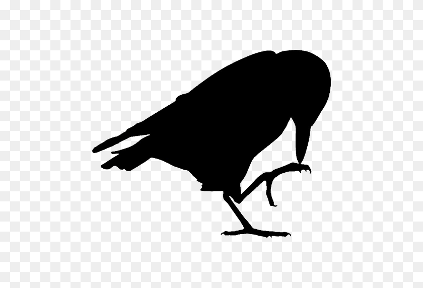 512x512 Cropped - Ravens PNG