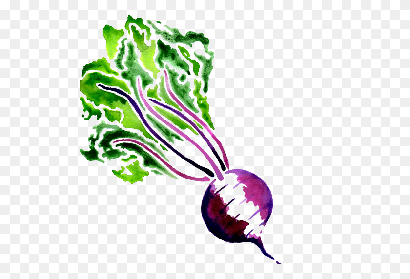 512x512 Cropped Beet Cloud Caterers - Beet PNG