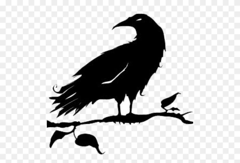 512x512 Обрезанная Черная Ворона Галерея Черная Ворона - Ворона Png