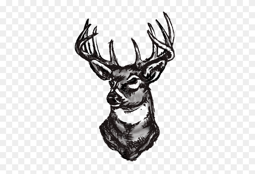 512x512 Cropped Icon - Buck PNG