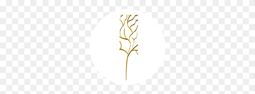 250x250 Обрезанное Дерево Логотипа Ледам - ​​Логотип Дерево Png