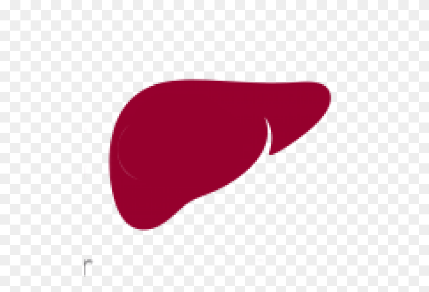 512x512 Cropped Liver Favicon - Liver PNG