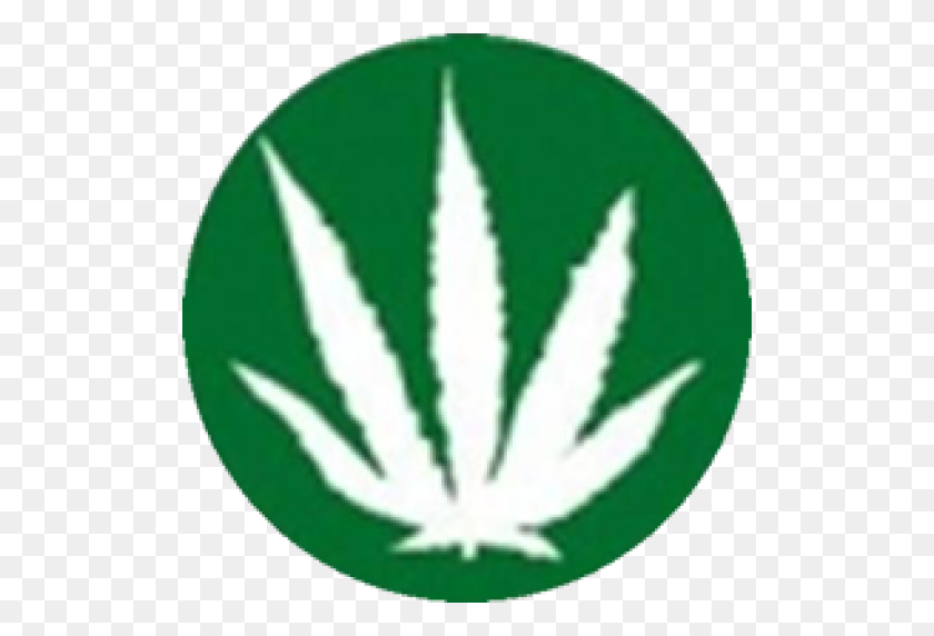 512x512 Cropped Norml Leaf Norml New Zealand - Weed Leaf PNG