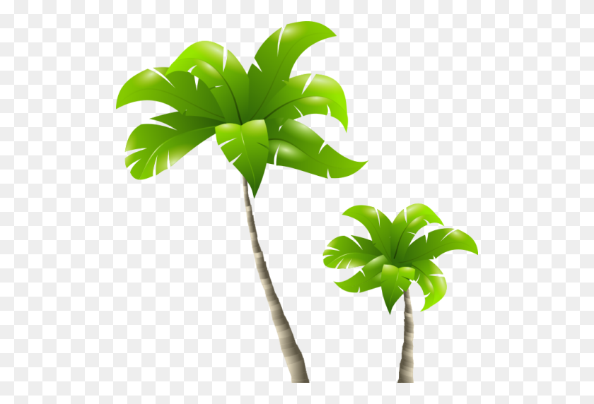 512x512 Обрезанные Пальмы Тропических Пальм - Пальмы Png