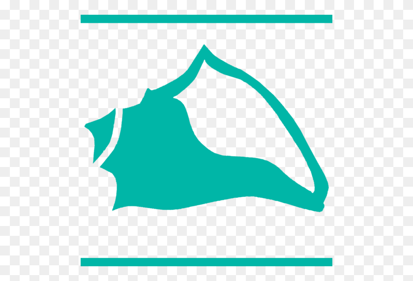 512x512 Обрезанный Логотип Ракушки Айкоака - Логотип Ракушки Png