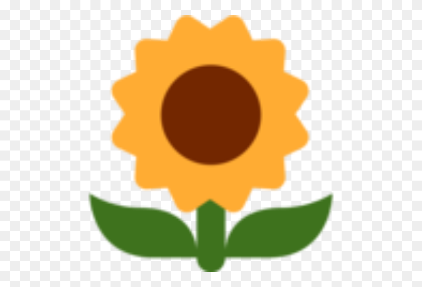 512x512 Cropped Sunflower The Hulke Lab - Sunflower PNG