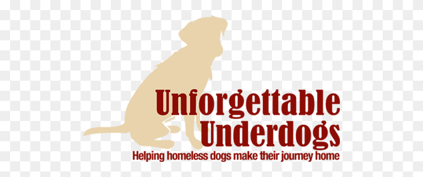 510x291 Cropped Unforgettable Underdog Logo Unforgettable - Homeless PNG