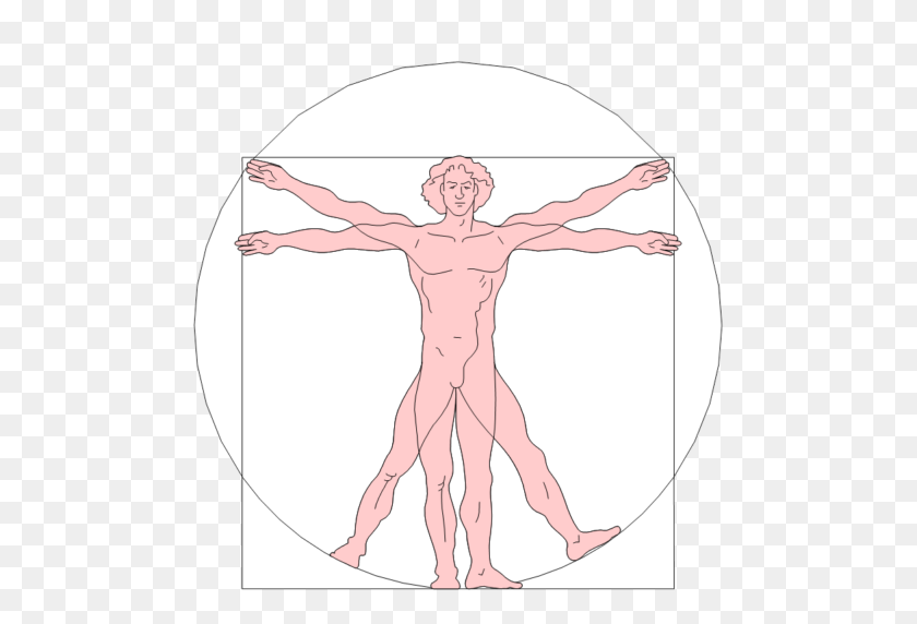 512x512 Cropped Vetruvian Man - Human Body PNG