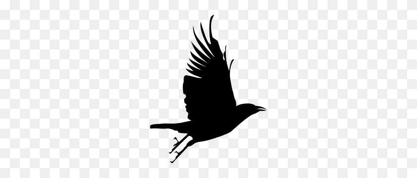 236x300 Crow - Crow Clipart Black And White