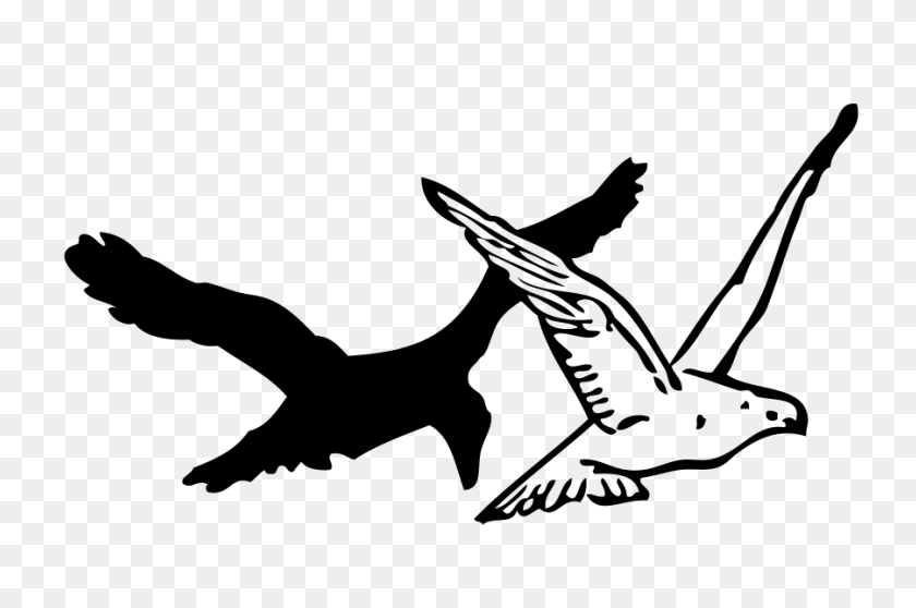 900x575 Crow Clip Art - Flying Pig Clipart Black And White
