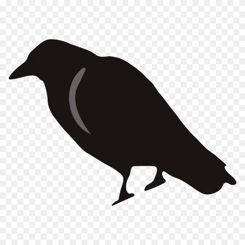 1000x1000 Crow Clipart - Magpie Clipart