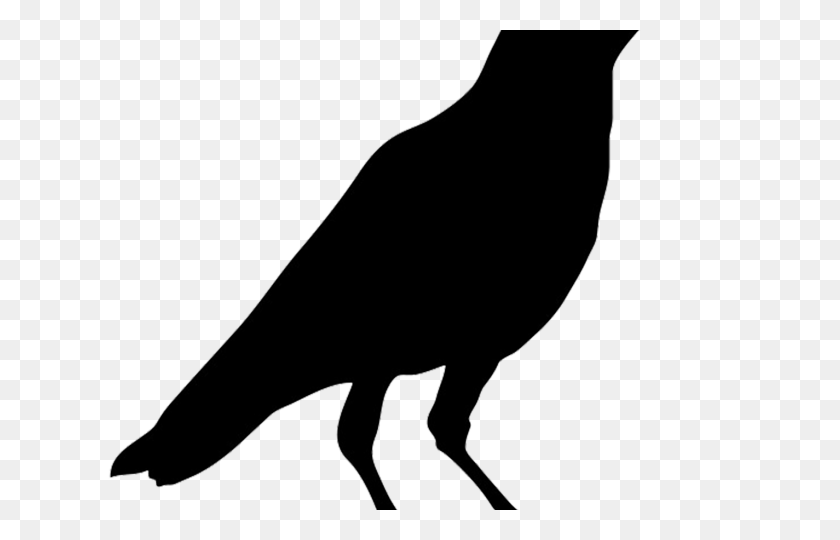 640x480 Crow Clipart - Crow Clipart Black And White