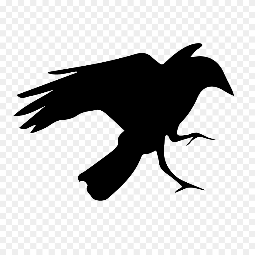 4000x4000 Crow Digital Logo Png - Crow PNG