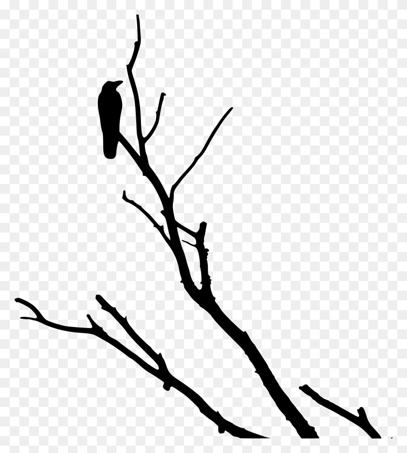 2137x2400 Crow On Dead Tree Icons Png - Dead Tree PNG
