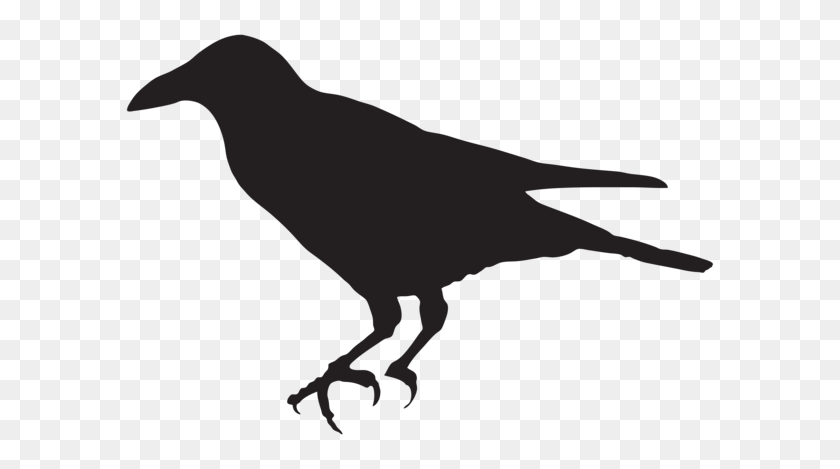 600x409 Crow Silhouette Png Clip Art - Crow PNG